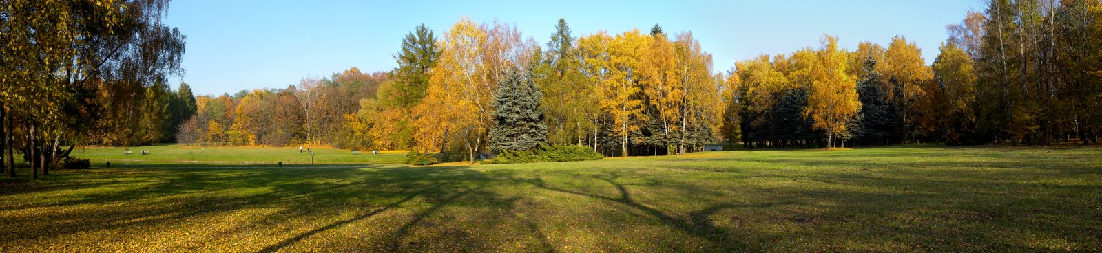 park na zdrowiu protest